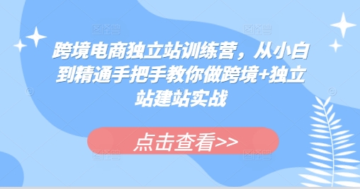 跨境电商独立站训练营，从小白到精通手把手教你做跨境+独立站建站实战-泛资源论坛-718资源